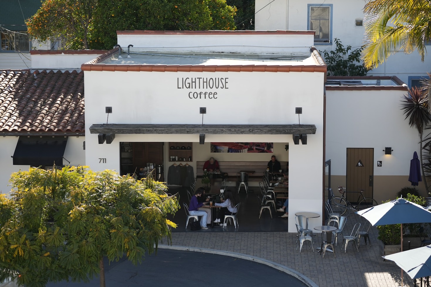 Exploring the Jurassic Coast: Walks Tailored for Dogs