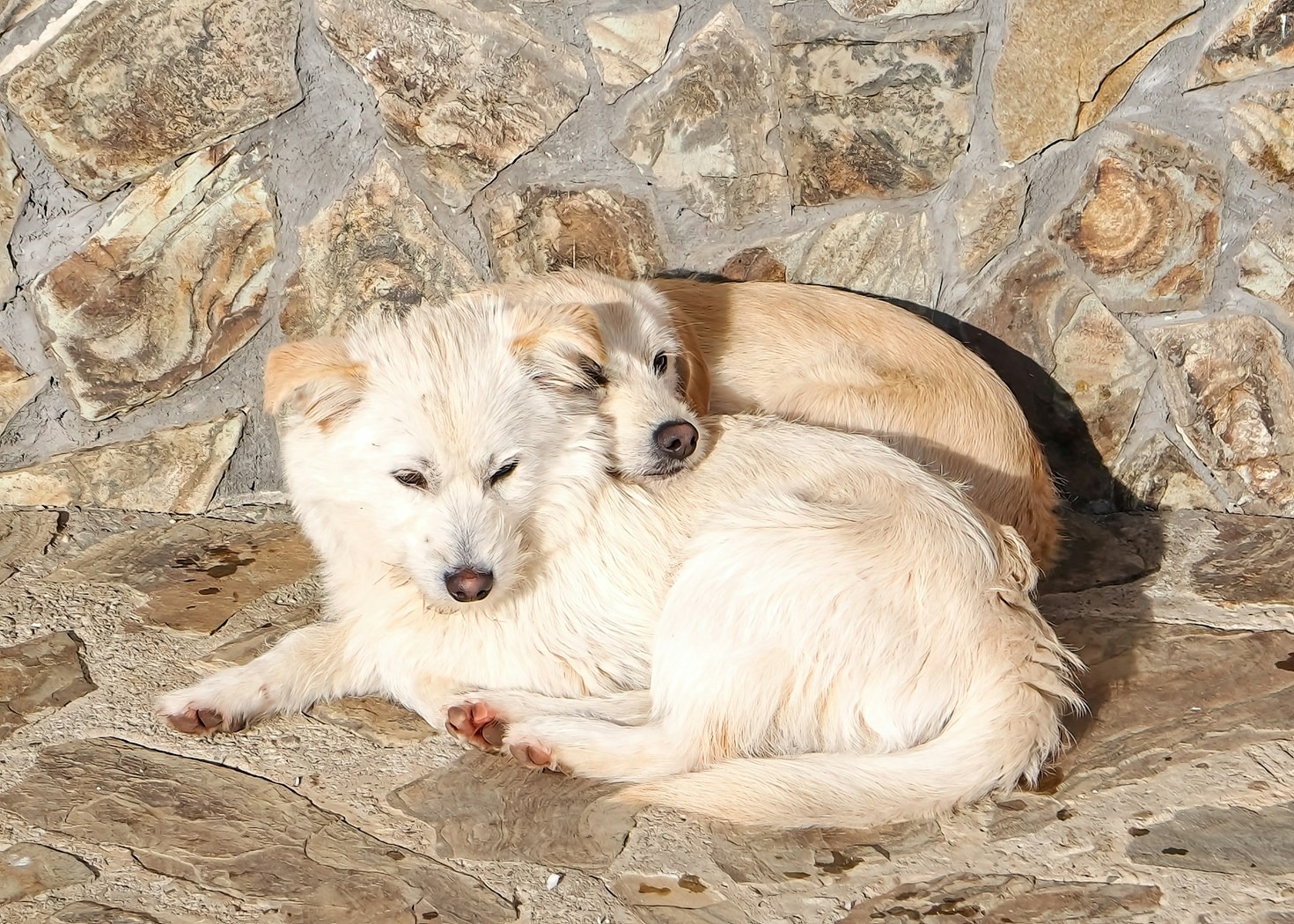 A Day in Lyme Regis with Oak: Top Spots to Visit