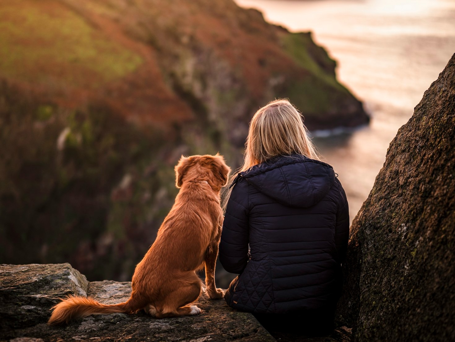 Hidden Gems for Dog Owners in the South Coast